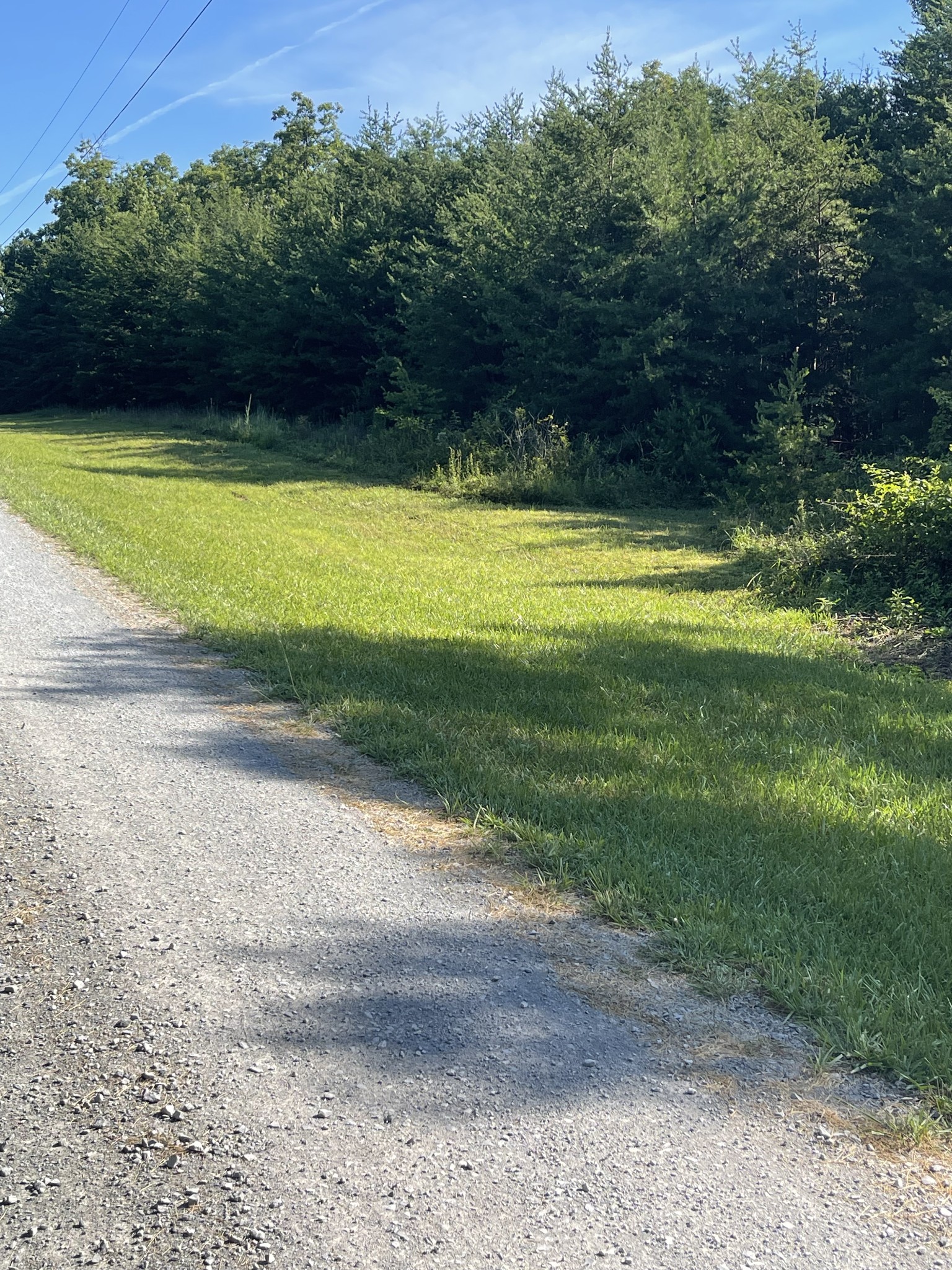 0 Turkey Track Road Altamont, TN 37301 - Photo 5 of 14 Gallery Image 5