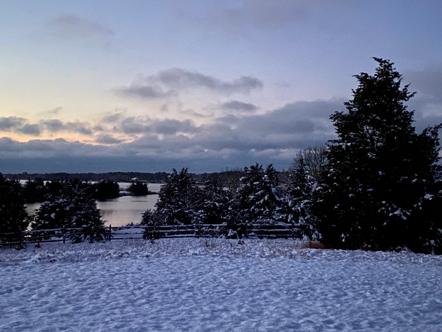 144 Pond View Farm Road West Tisbury, MA 02568 - Photo 12 of 13 a view of a dry yard