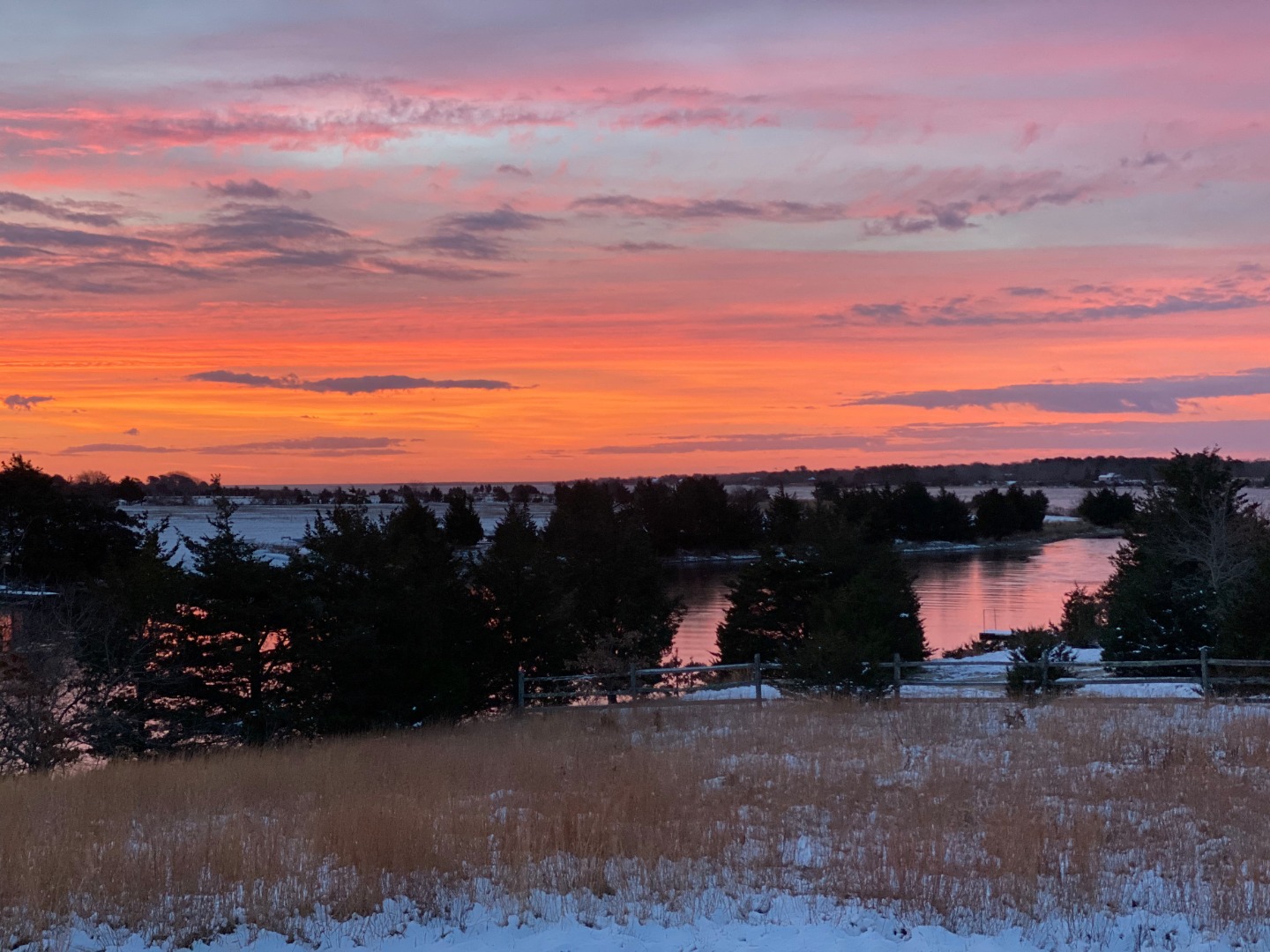 144 Pond View Farm Road West Tisbury, MA 02568 - Photo 2 of 13 a view of a terrace with a garden
