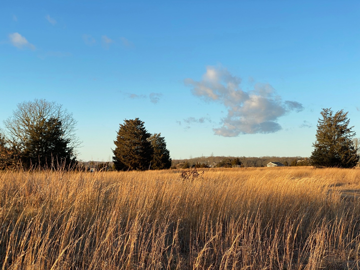 144 Pond View Farm Road West Tisbury, MA 02568 - Photo 9 of 13 a view of an ocean and beach