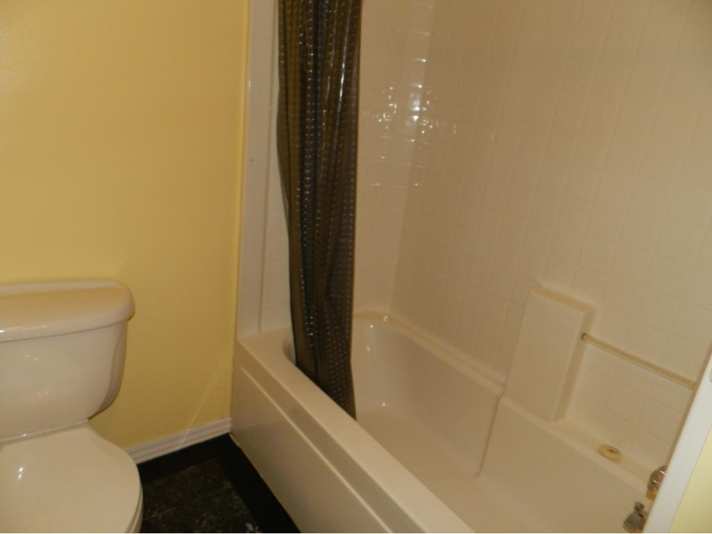 349 Church Road Fall Branch, TN 37656 - Photo 7 of 15 Master TubShower