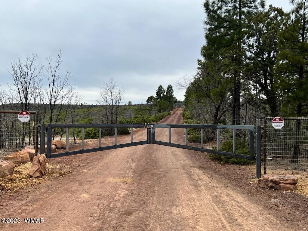 Lot 016 Off Of Fieldy Road Show Low, AZ 85901 - Photo 1 of 24 Gallery Image 1