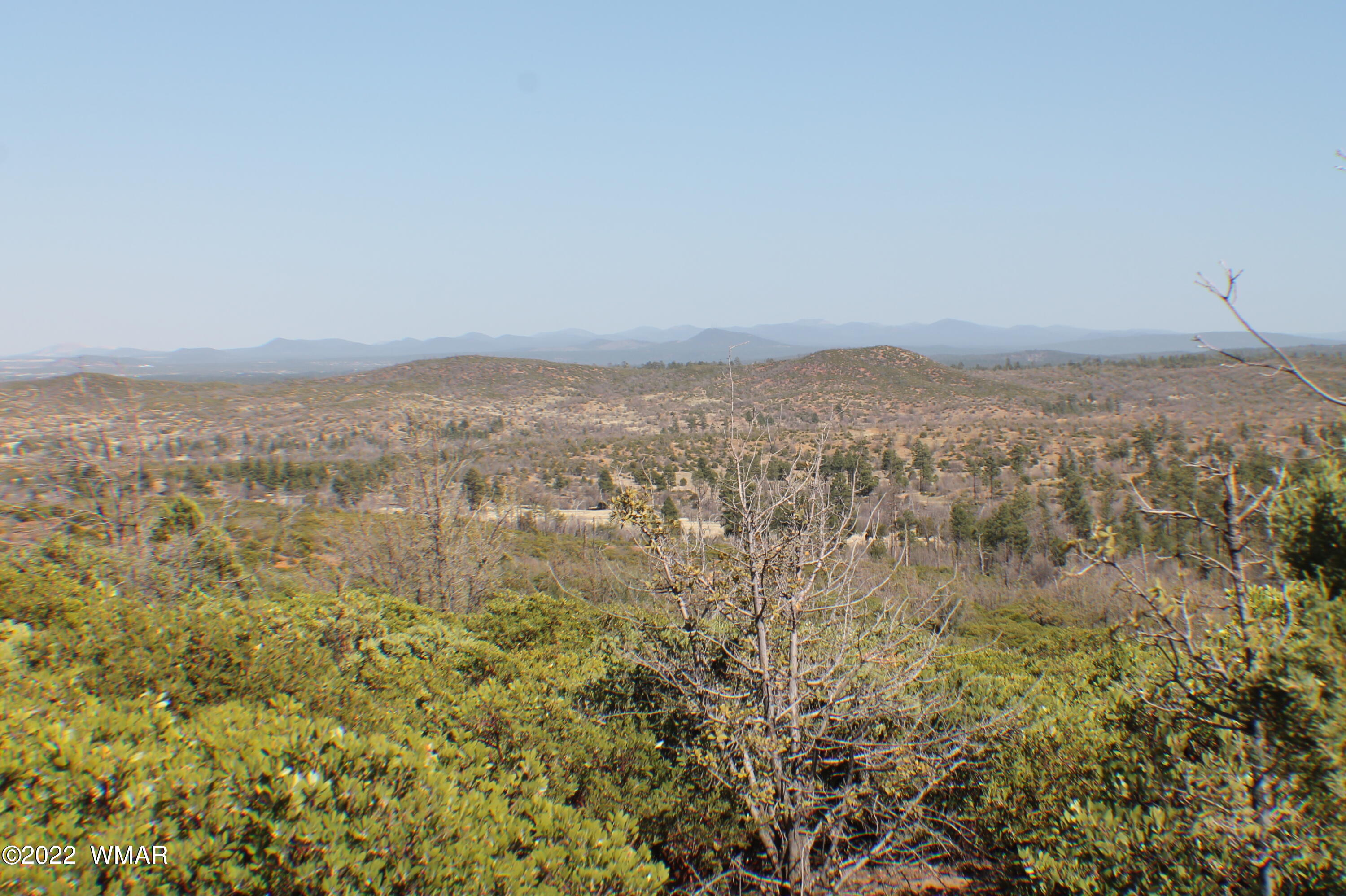 Lot 016 Off Of Fieldy Road Show Low, AZ 85901 - Photo 11 of 24 Gallery Image 11