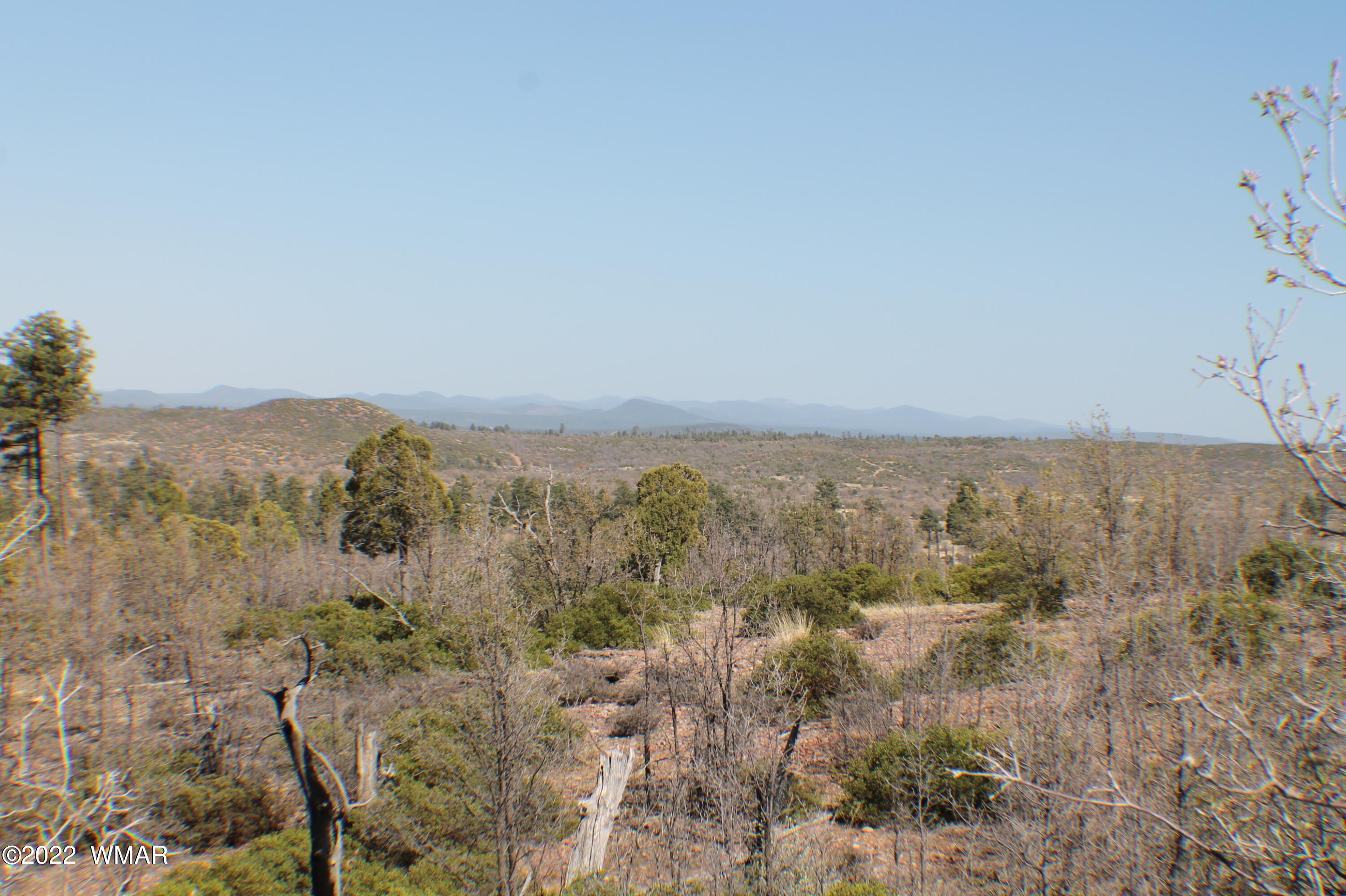 Lot 016 Off Of Fieldy Road Show Low, AZ 85901 - Photo 13 of 24 Gallery Image 13