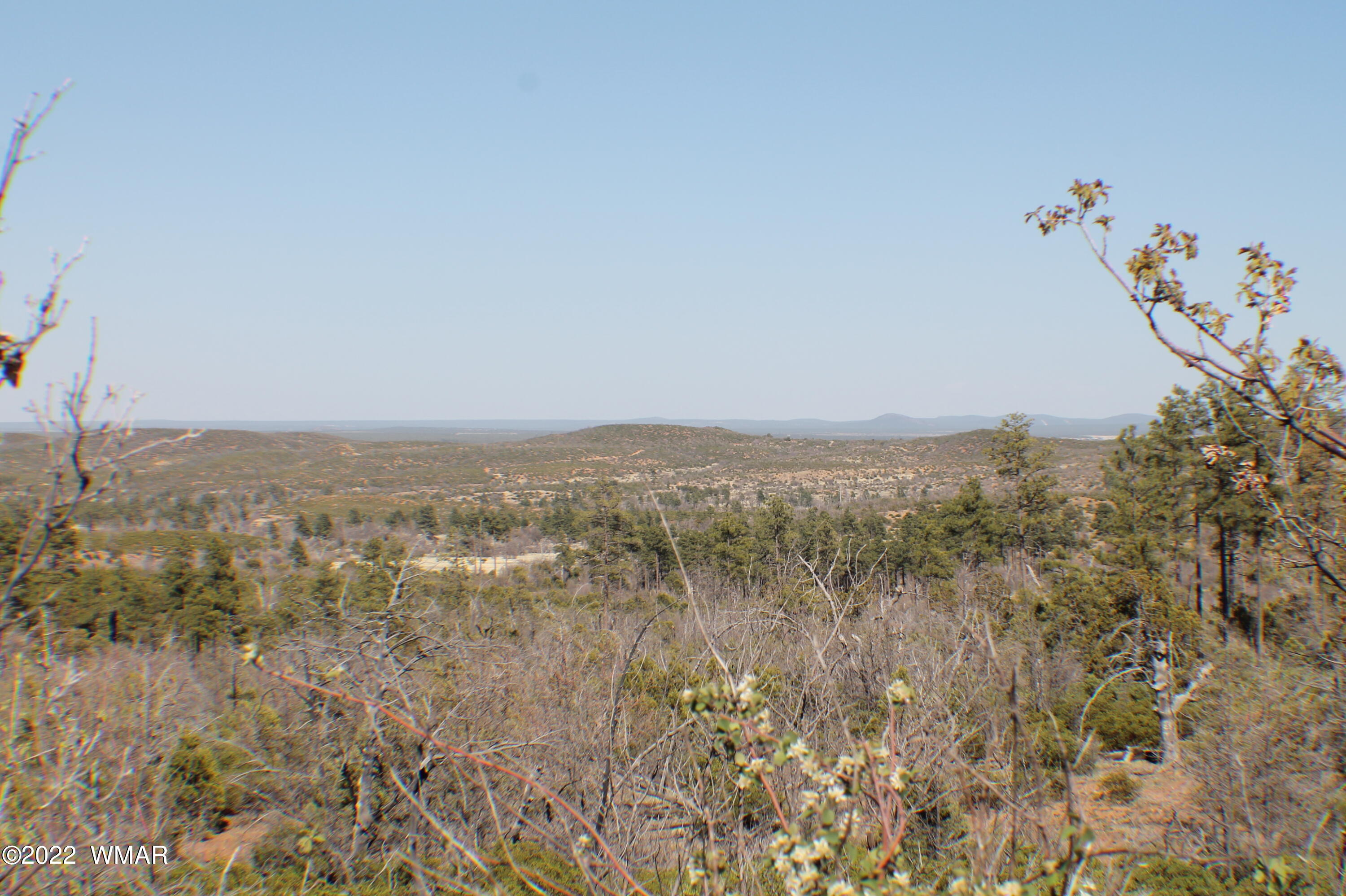 Lot 016 Off Of Fieldy Road Show Low, AZ 85901 - Photo 14 of 24 Gallery Image 14