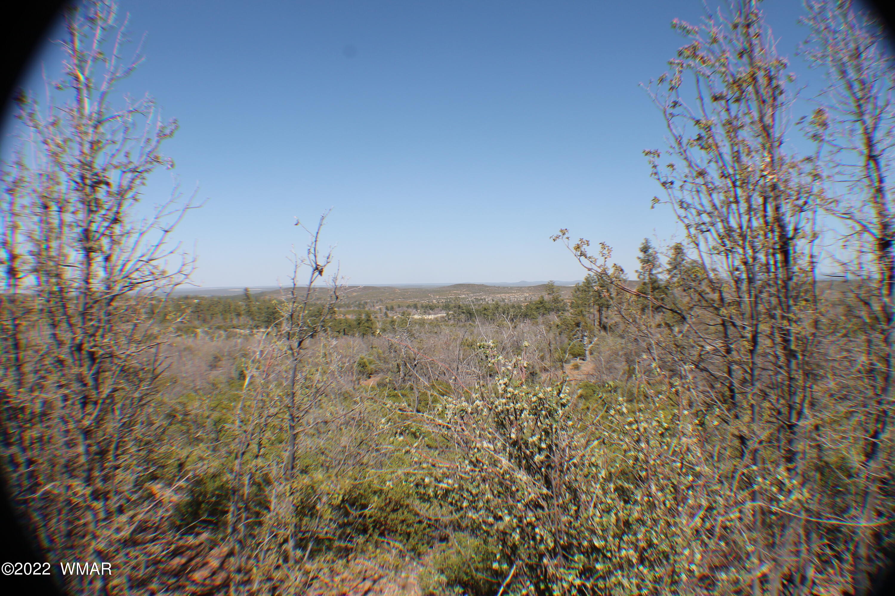 Lot 016 Off Of Fieldy Road Show Low, AZ 85901 - Photo 15 of 24 Gallery Image 15