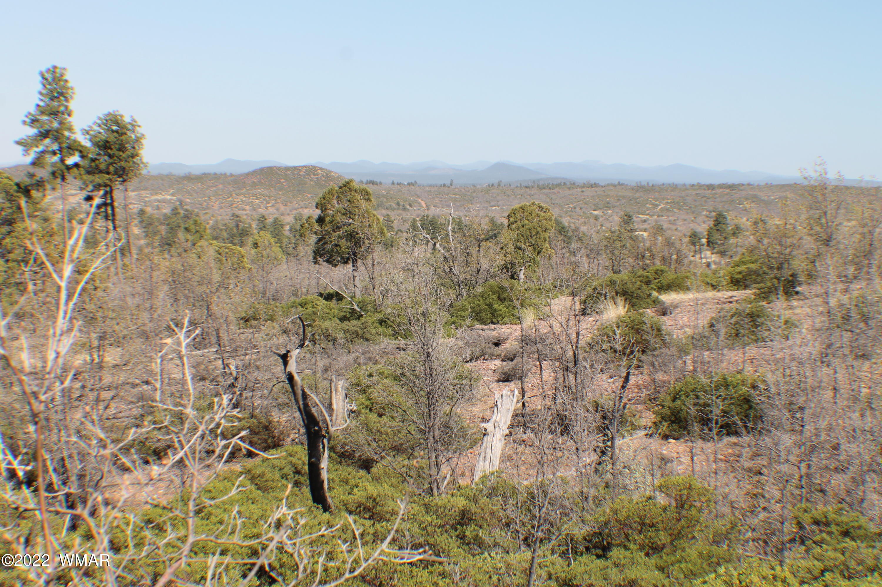 Lot 016 Off Of Fieldy Road Show Low, AZ 85901 - Photo 16 of 24 Gallery Image 16