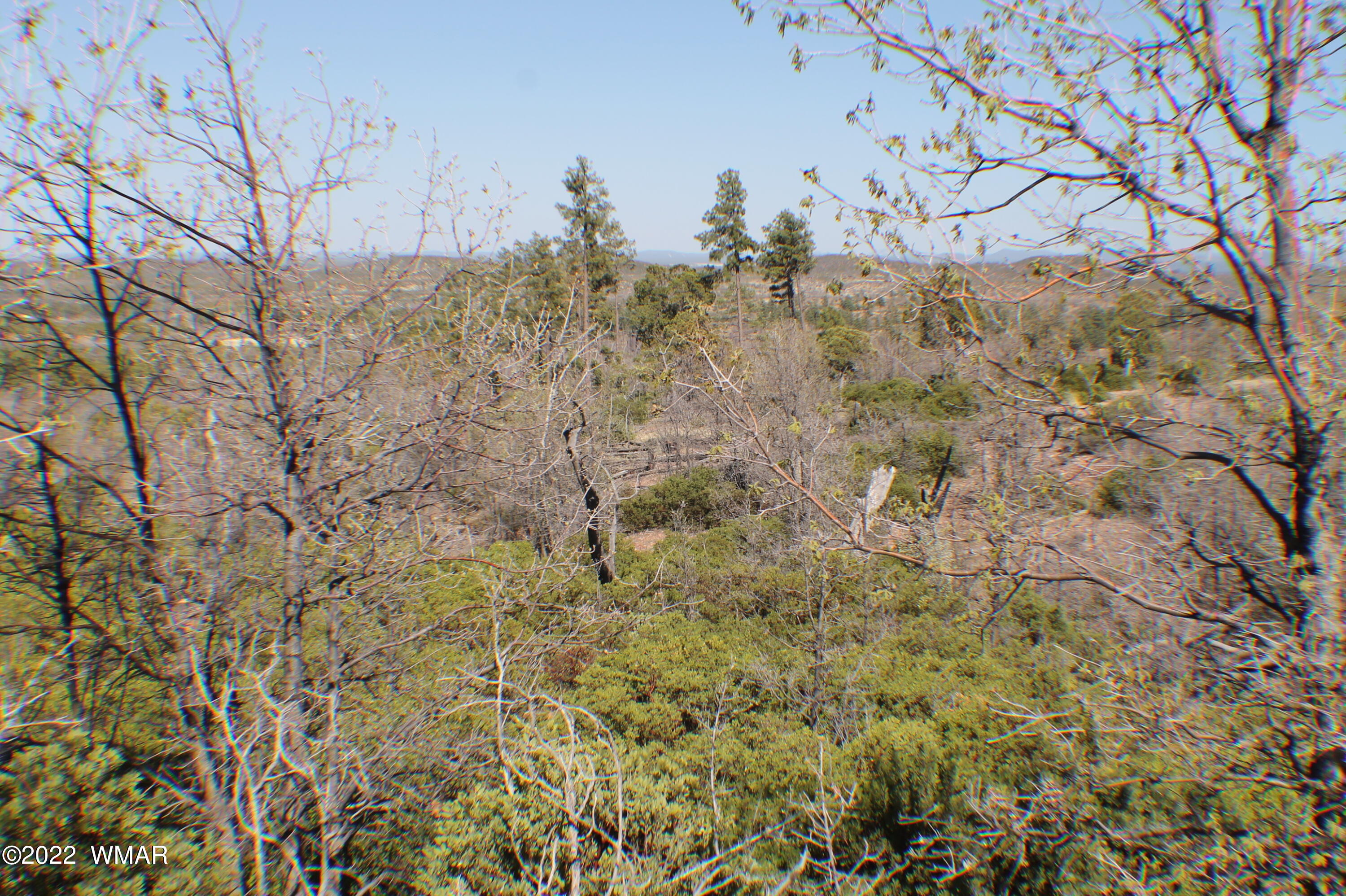 Lot 016 Off Of Fieldy Road Show Low, AZ 85901 - Photo 17 of 24 Gallery Image 17