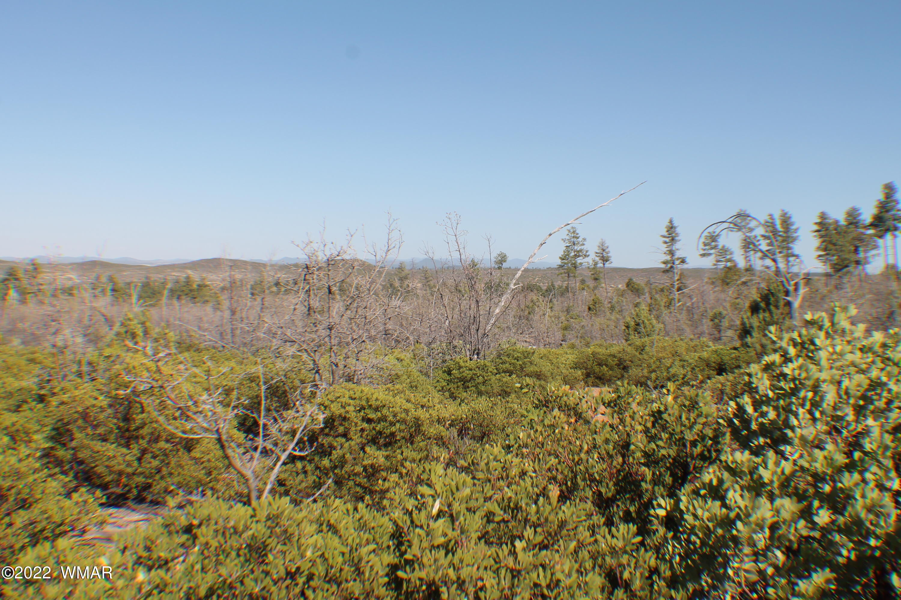 Lot 016 Off Of Fieldy Road Show Low, AZ 85901 - Photo 18 of 24 Gallery Image 18