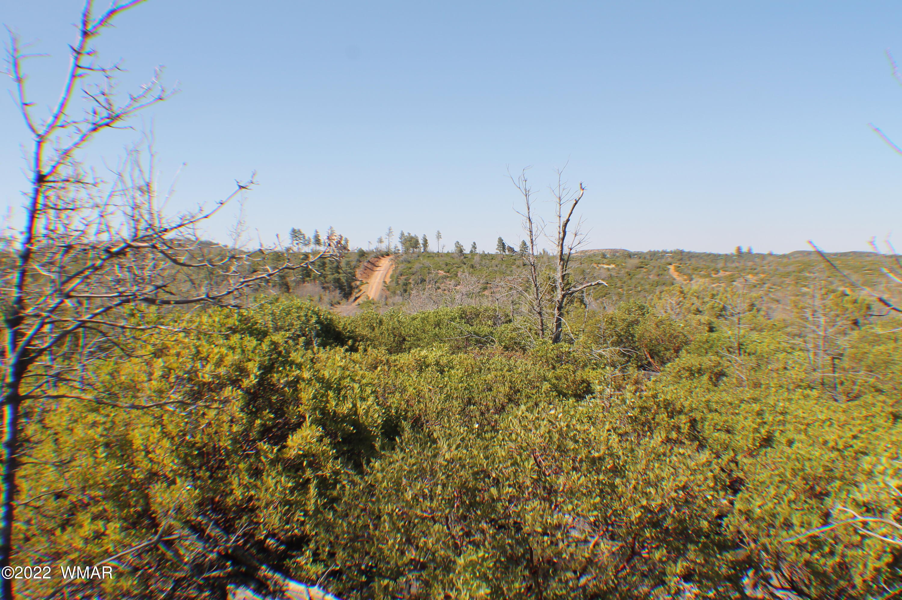 Lot 016 Off Of Fieldy Road Show Low, AZ 85901 - Photo 19 of 24 Gallery Image 19