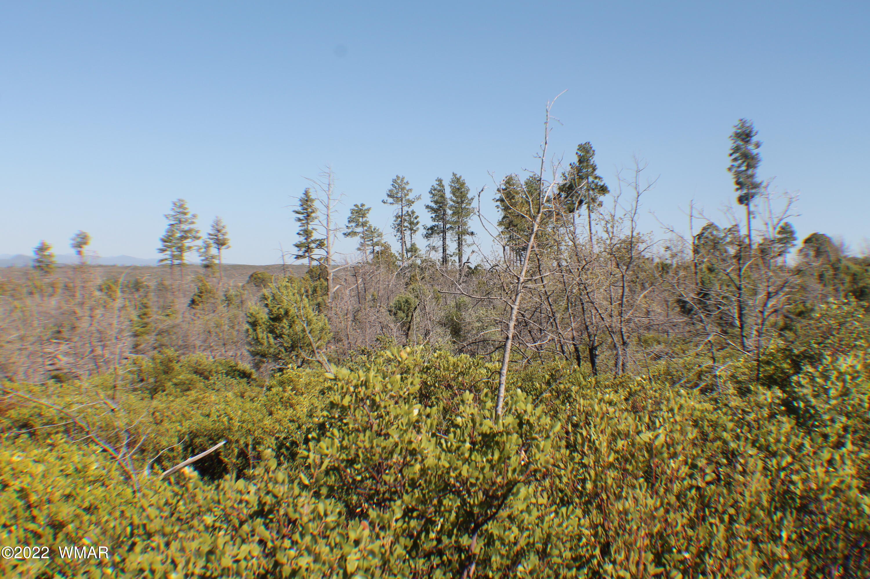Lot 016 Off Of Fieldy Road Show Low, AZ 85901 - Photo 23 of 24 Gallery Image 23