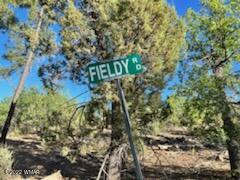 Lot 016 Off Of Fieldy Road Show Low, AZ 85901 - Photo 3 of 24 Gallery Image 3