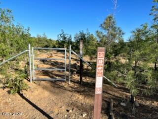 Lot 016 Off Of Fieldy Road Show Low, AZ 85901 - Photo 4 of 24 Gallery Image 4