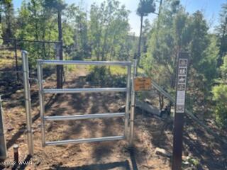 Lot 016 Off Of Fieldy Road Show Low, AZ 85901 - Photo 5 of 24 Gallery Image 5