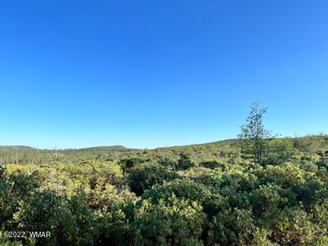 Lot 016 Off Of Fieldy Road Show Low, AZ 85901 - Photo 7 of 24 Gallery Image 7