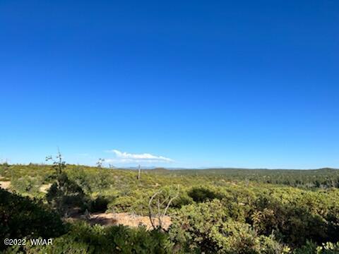 Lot 016 Off Of Fieldy Road Show Low, AZ 85901 - Photo 8 of 24 Gallery Image 8