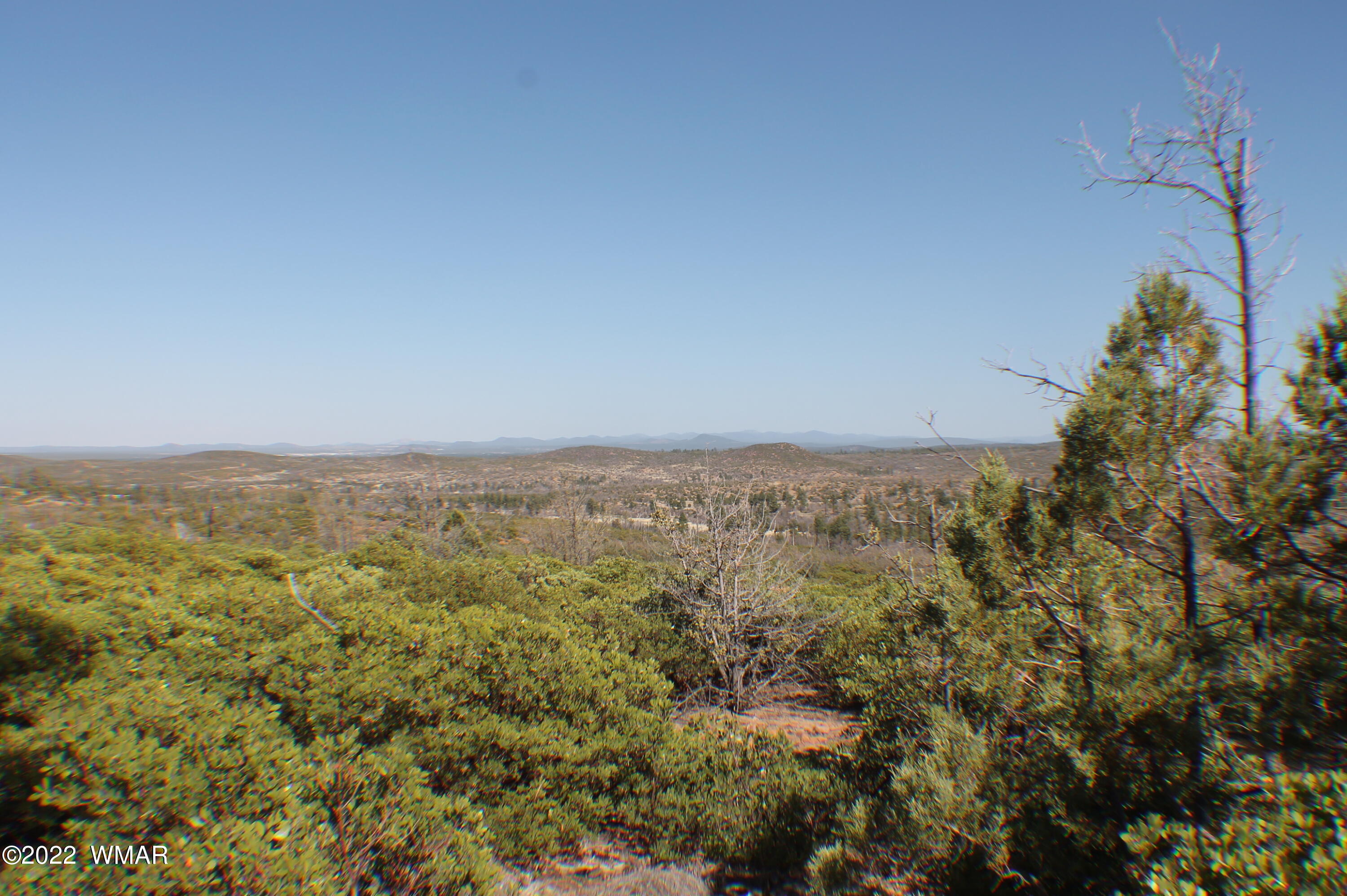 Lot 016 Off Of Fieldy Road Show Low, AZ 85901 - Photo 9 of 24 Gallery Image 9