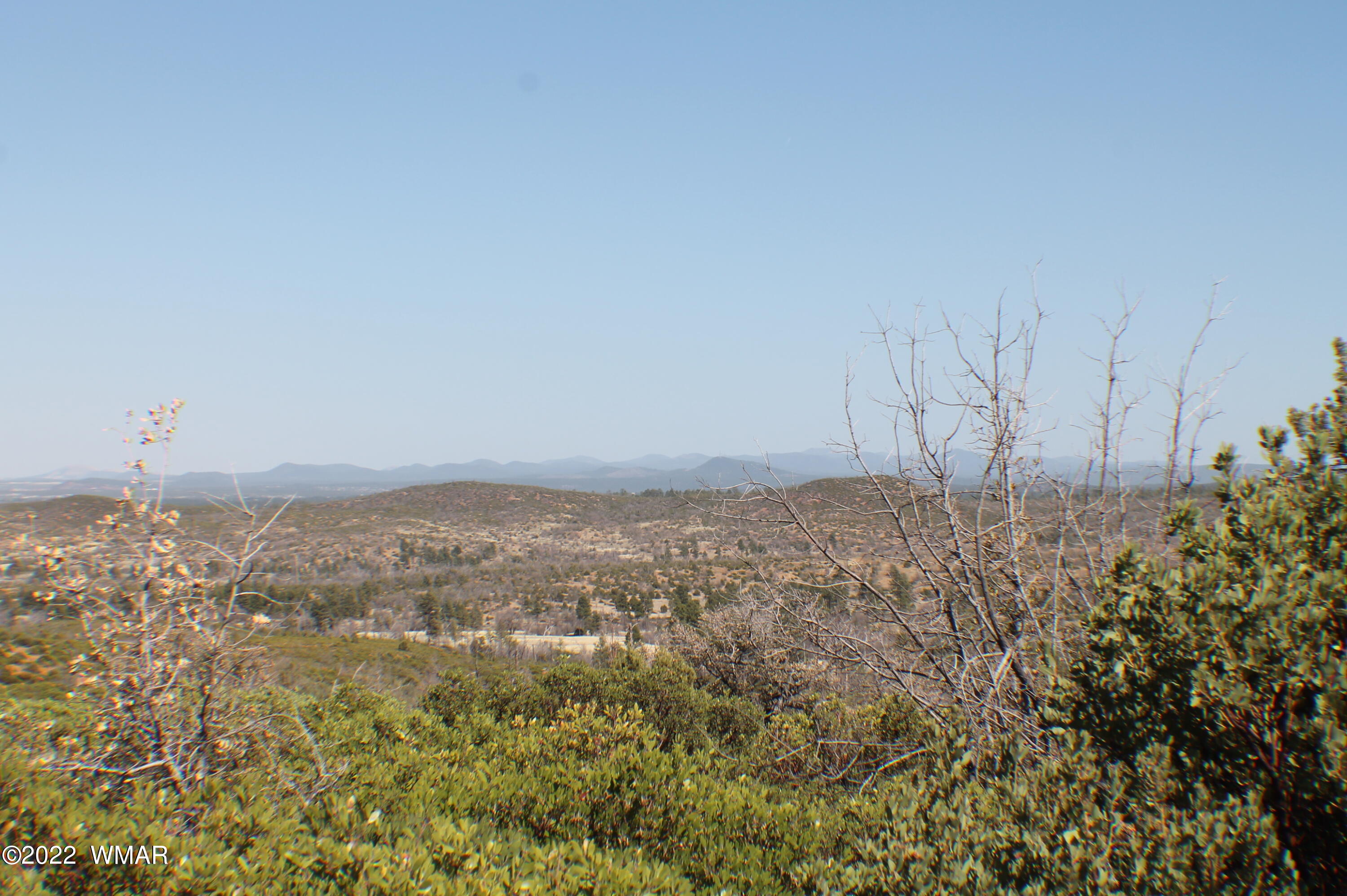 Lot 016 Off Of Fieldy Road Show Low, AZ 85901 - Photo 10 of 24 Gallery Image 10