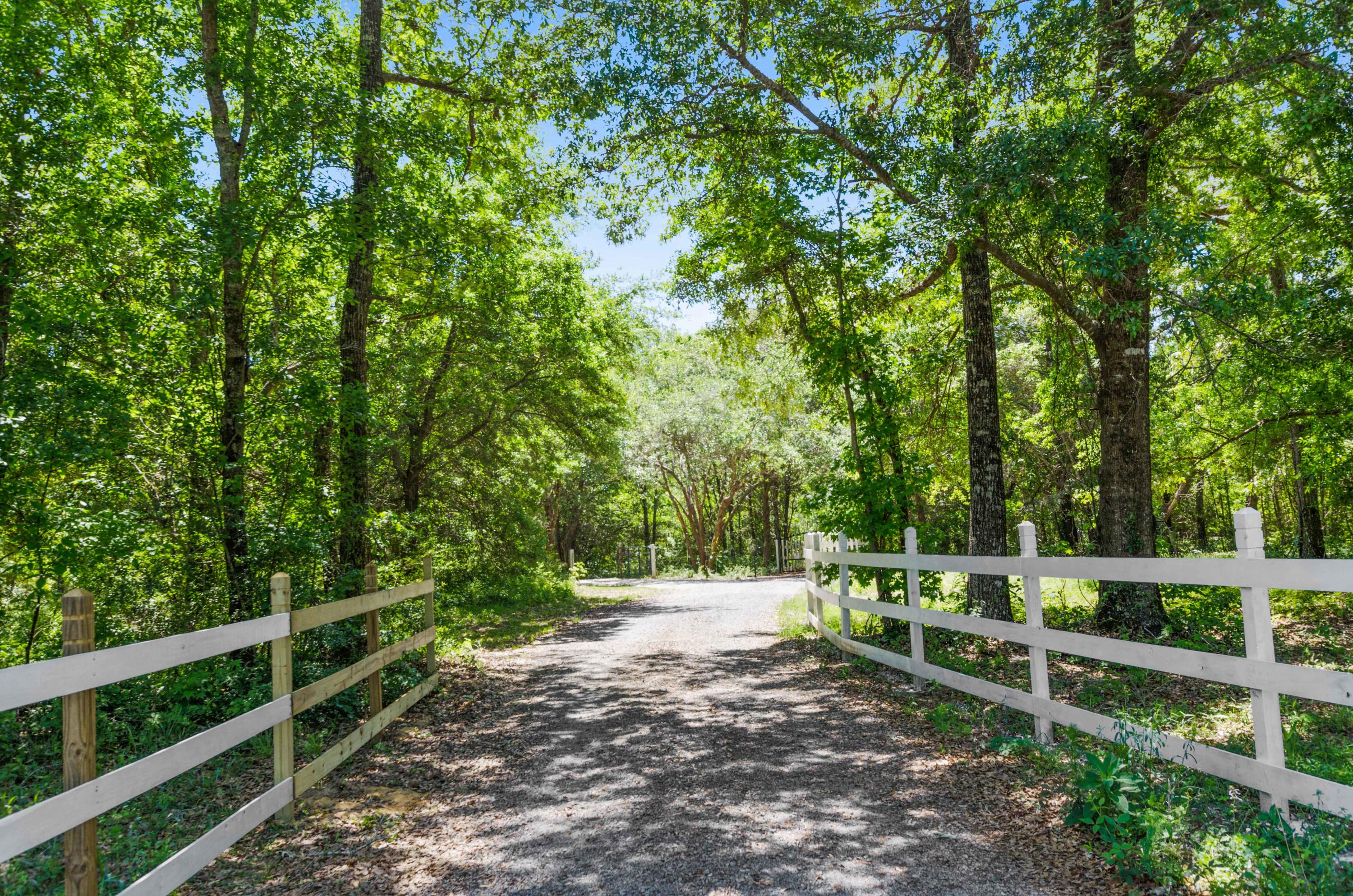 7951 Doar Road Awendaw, SC 29429 - Photo 1 of 47 DSC_0524
