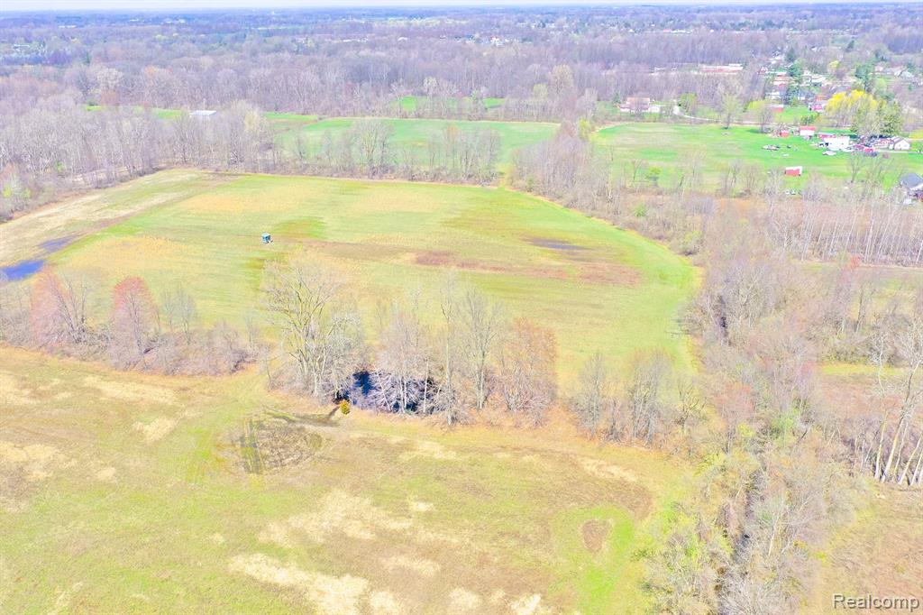 21232 Karr Road Belleville, MI 48111 - Photo 15 of 24
