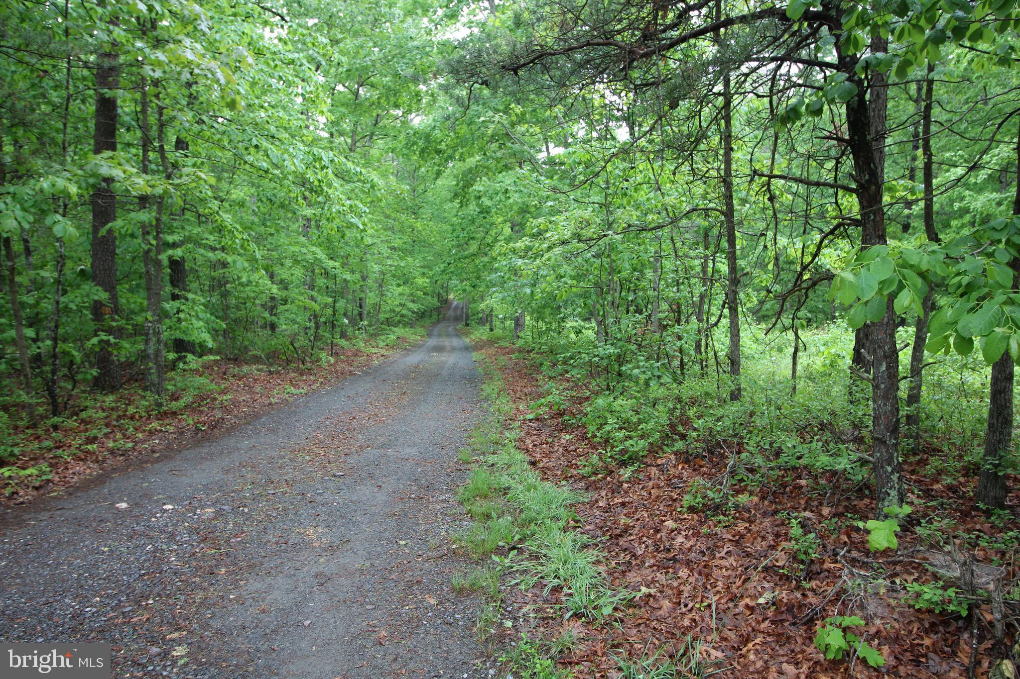 16196 Mountain Track Road Orange, VA 22960 - Photo 30 of 32 Driveway out to main road