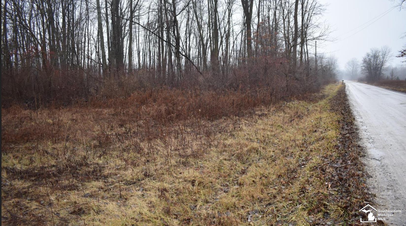 1 Allison Road Milan, MI 48160 - Photo 13 of 14 50099356-12.JPG