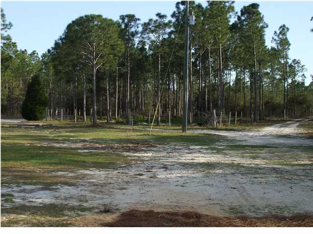 477 Don Graff Road Freeport, FL 32439 - Photo 4 of 15 a view of a park