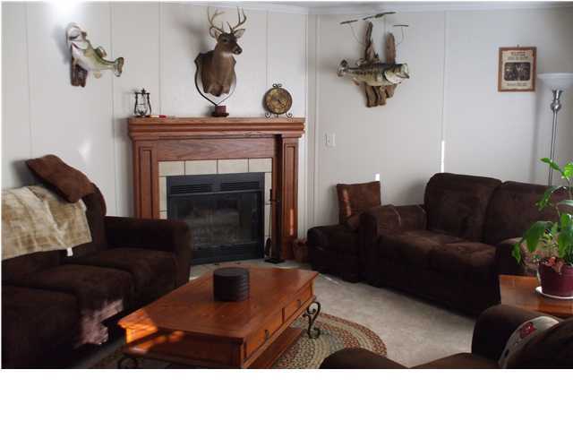 477 Don Graff Road Freeport, FL 32439 - Photo 6 of 15 a living room with furniture and a fireplace