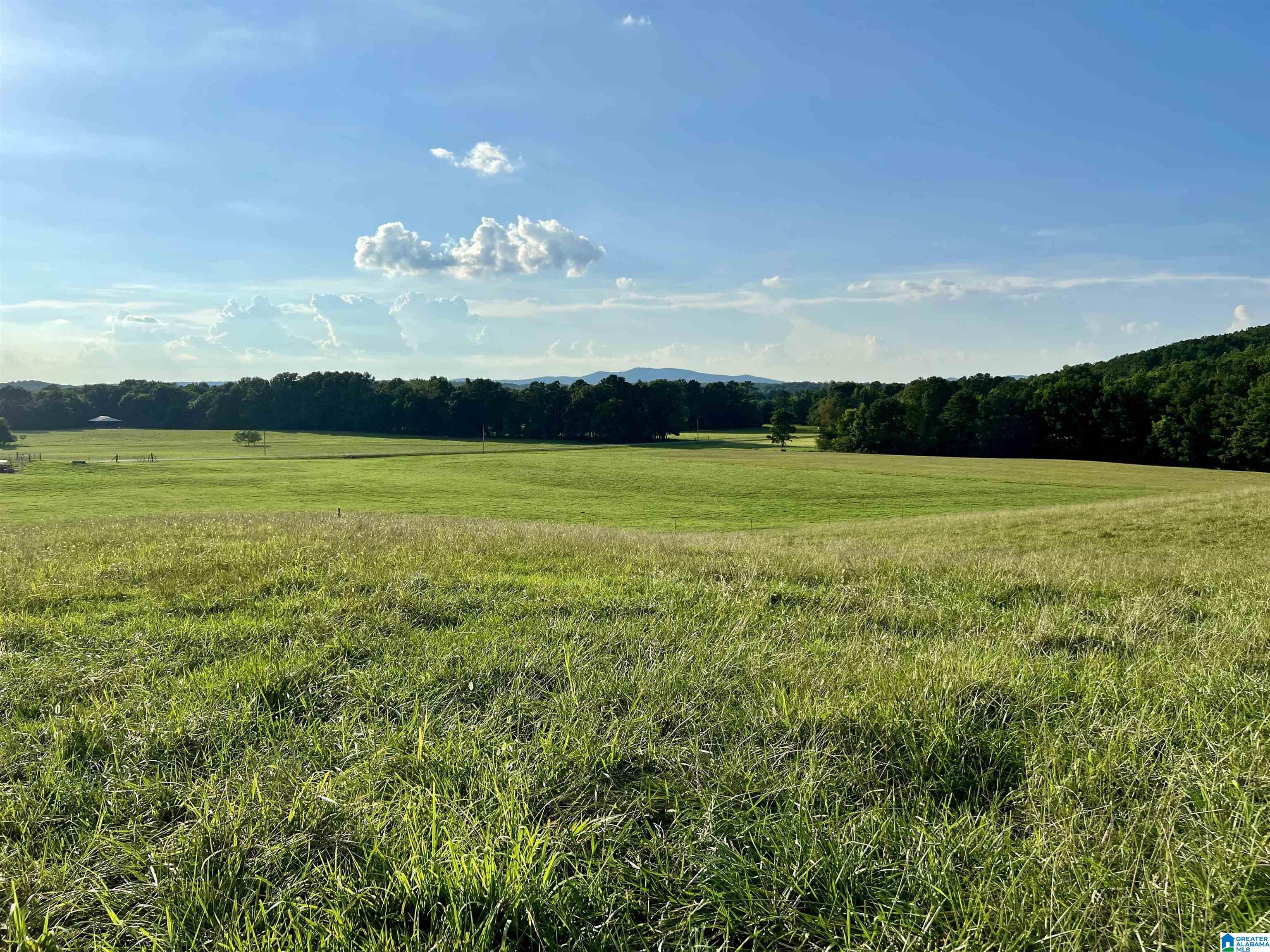 1515 Kelly Ranch Road, Unit 138 ACRES / Talladega, AL 35160 - Photo 40 of 42