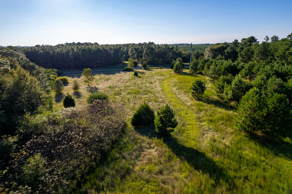 2226 Randall Wade Road Headland, AL 36345 - Photo 51 of 60