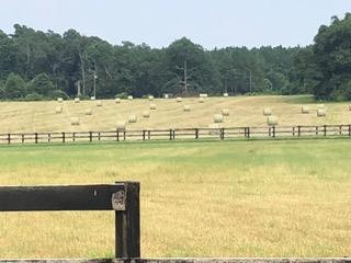 492 Black River Road Barnwell, SC 29812 - Photo 58 of 58 Gallery Image 58