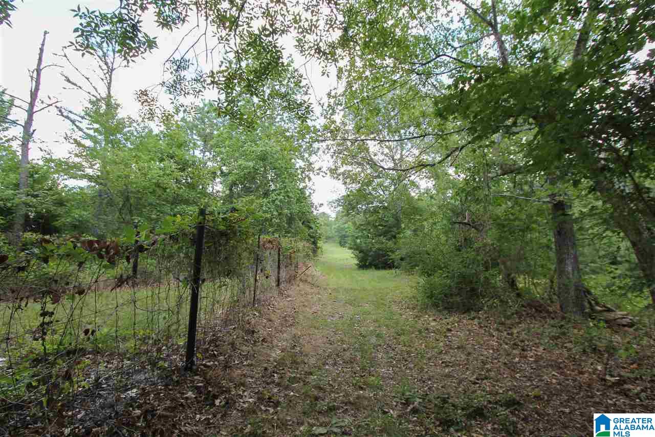 331 Powell Road Remlap, AL 35133 - Photo 31 of 47 Gallery Image 31