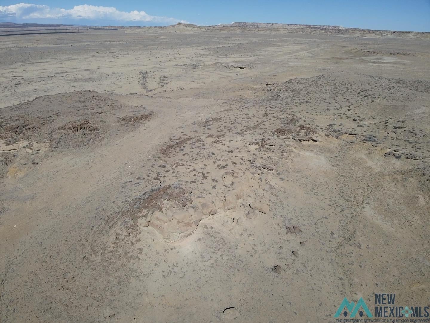 0 Road 6500 Waterflow, NM 87421 - Photo 10 of 39 Gallery Image 10