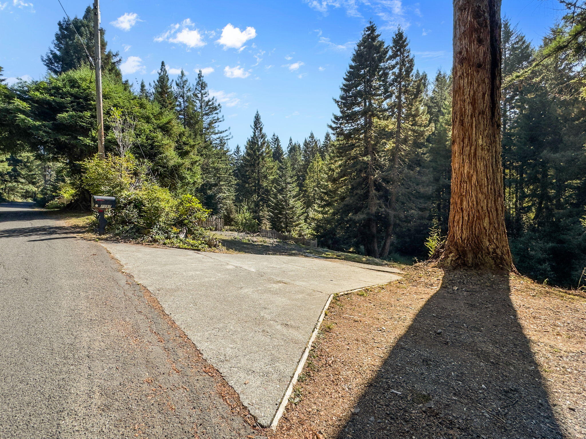 7097 Fickle Hill Road Arcata, CA 95521 - Photo 9 of 43