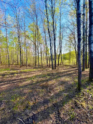 $30,000 | Tbd Mallard Place, Sandstone, MN 55072