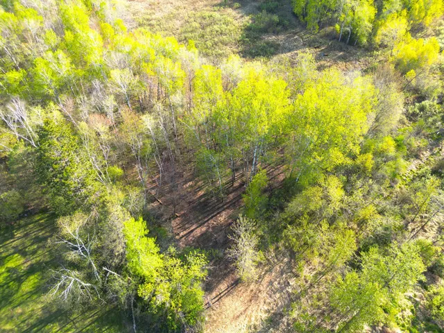 $30,000 | Tbd Mallard Place, Sandstone, MN 55072