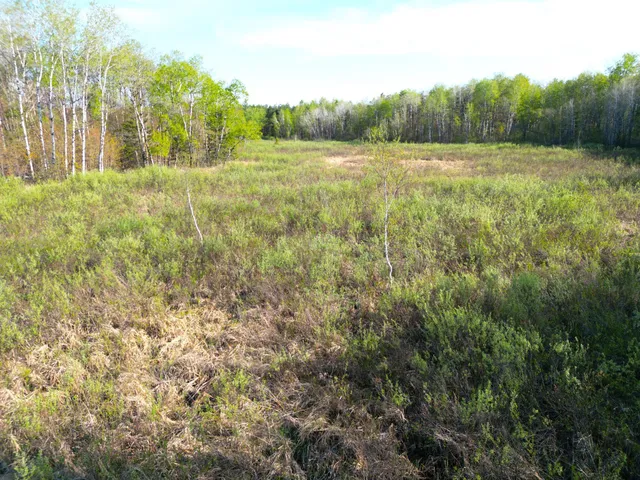 $30,000 | Tbd Mallard Place, Sandstone, MN 55072
