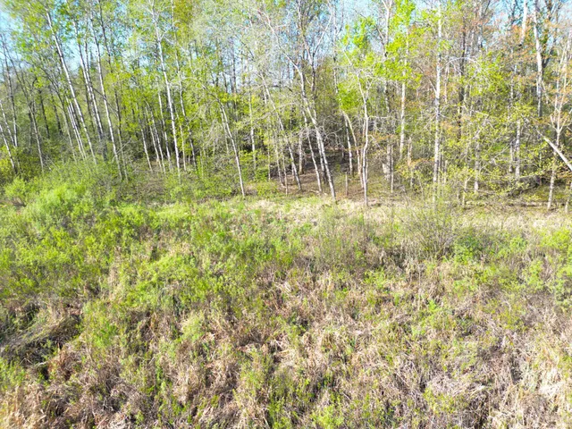 $30,000 | Tbd Mallard Place, Sandstone, MN 55072