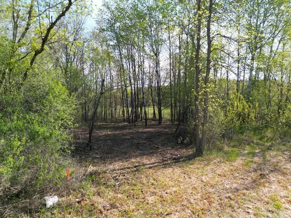 $30,000 | Tbd Mallard Place, Sandstone, MN 55072