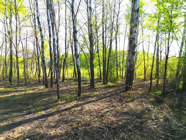 $30,000 | Tbd Mallard Place, Sandstone, MN 55072