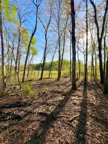 $30,000 | Tbd Mallard Place, Sandstone, MN 55072