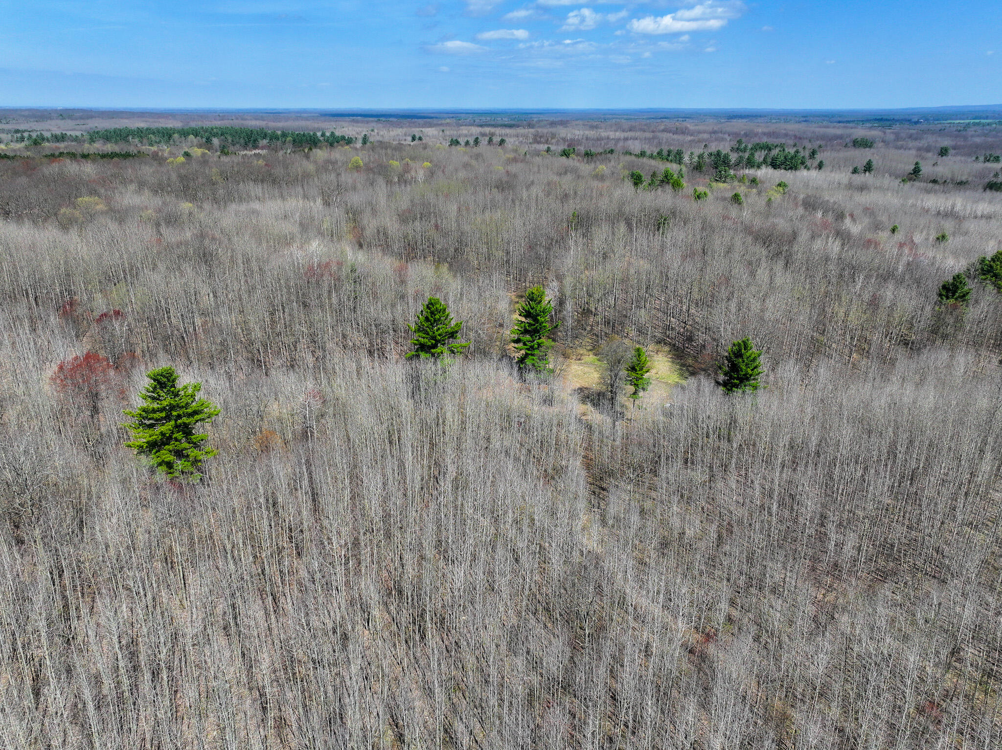 7415 East Anthony Road Branch, MI 49402 - Photo 58 of 99 DJI_20260416123615_0234_D