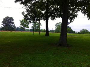 797 Davey Cox Road Mitchell, IN 47446 - Photo 10 of 33 Gallery Image 10