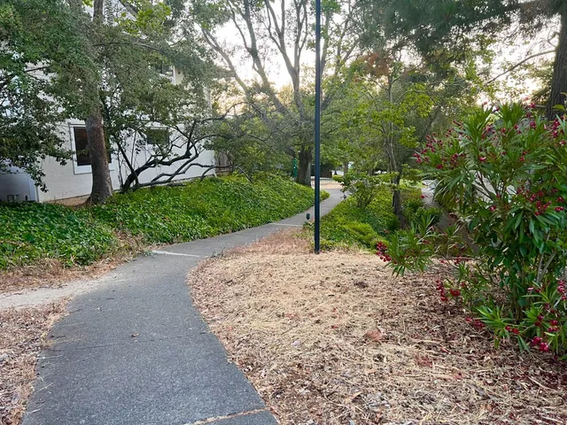 a backyard of a house with lots of green space