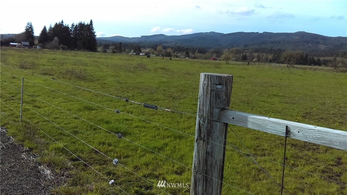 0 Doty-Dryad Road Chehalis, WA 98532 - Photo 2 of 3