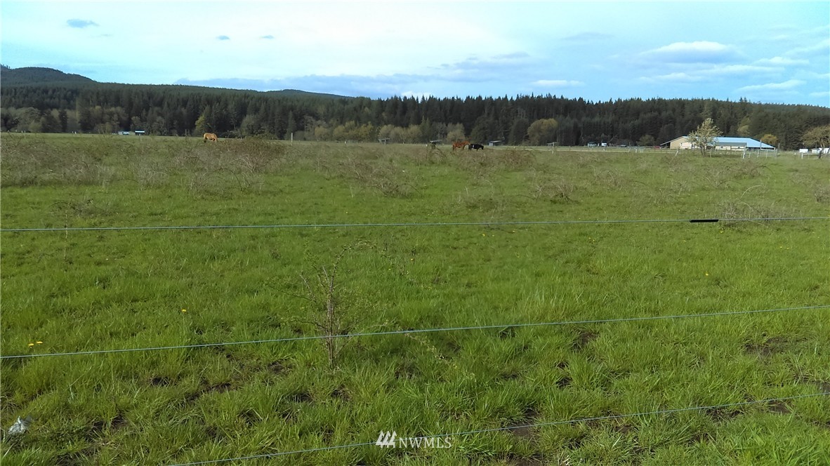 0 Doty-Dryad Road Chehalis, WA 98532 - Photo 3 of 3
