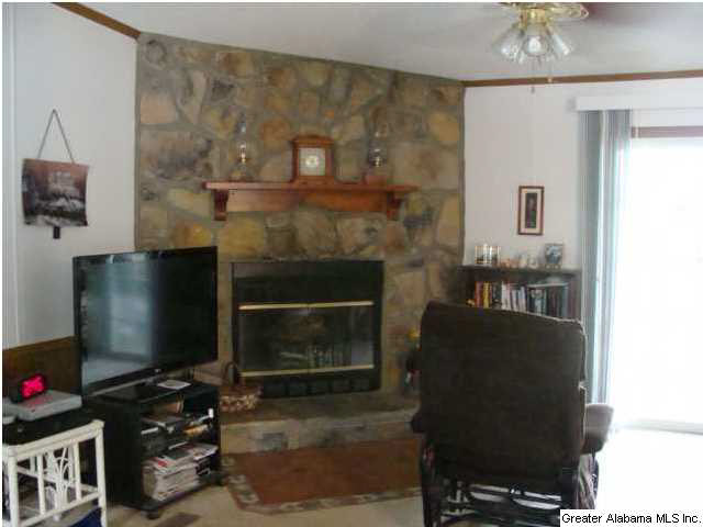 325 Big Springs Road Woodstock, AL 35188 - Photo 8 of 18