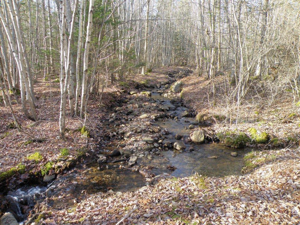 0 Us Route, Unit RT Stockton Springs, ME 04981 - Photo 11 of 18 P1010763