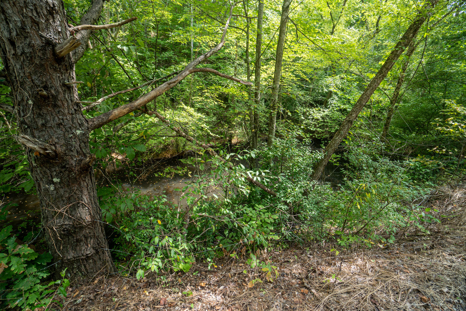 14_DSC07045-HDR