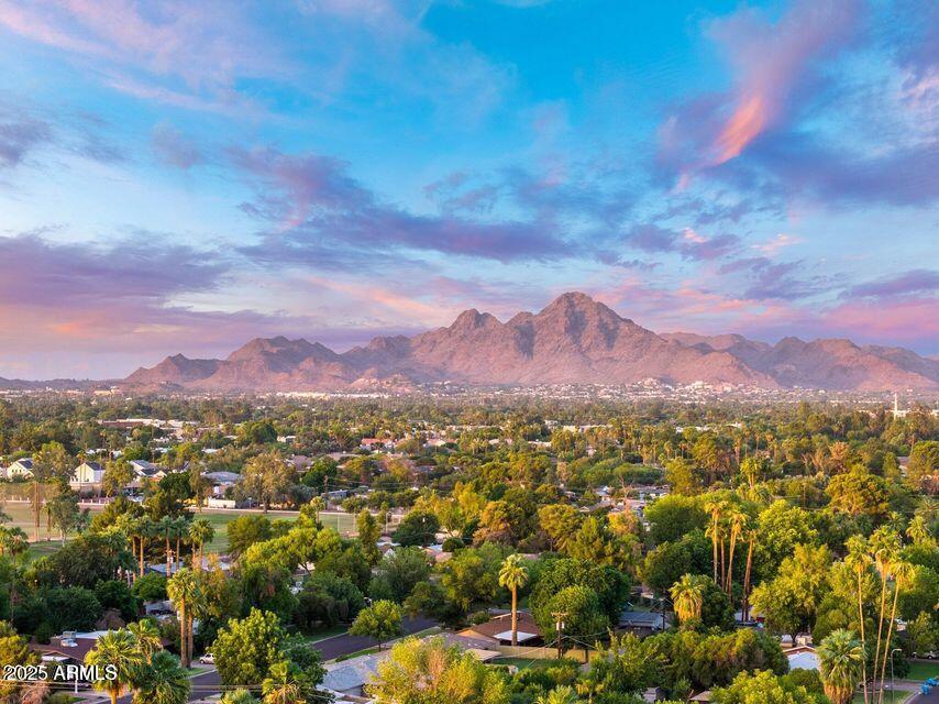 1644 West Roma Avenue Phoenix, AZ 85015 - Photo 15 of 42 Piestewa Peak to N